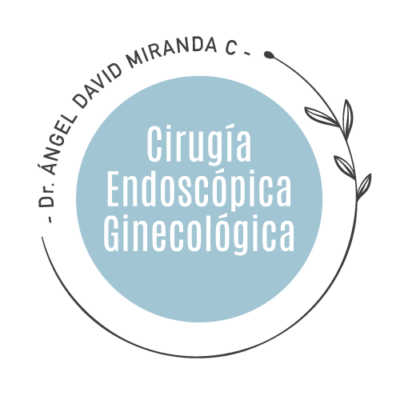 C-ENDOSCOPICA